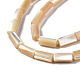 Chapelets de perles de coquille de trochid / trochus coquille SSHEL-S266-020B-02-3