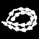 天然トロチッドシェル/トロカスシェルビーズ連売り  ワシ  貝殻色  17~18x10~13x3.5~4mm  穴：0.8mm  約22個/連  15.35~15.55''（39~39.5センチメートル） SSHEL-R145-05-4
