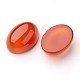 Grade A Natural Red Agate Oval Cabochons X-G-L394-10B-18x13mm-2