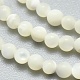Natural White Shell Beads Strands G-A177-04-25-3