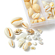 6 styles de perles de coquillages mélangées naturelles BSHE-FS0001-04-4