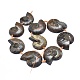 Natural Ammonite/Conch Fossil Graduated Beads Strands G-O179-K02-3