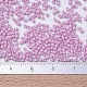 MIYUKI Delica Beads Small X-SEED-J020-DBS0210-3