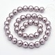 Round Shell Pearl Bead Strands BSHE-M009-6mm-08-2