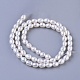 Natural Cultured Freshwater Pearl Oval Beads Strands PEAR-E004-21-2
