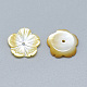 Perles de coquillage jaune SSHEL-S260-077-2