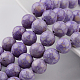 Dyed Natural Fossil Beads Strands G-E328-8mm-22-1