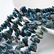Nuggets Natural Apatite Beads Strands G-M342-06-1