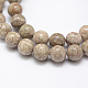 Natural Fossil Coral Beads Strands X-G-P325-01-8mm-1