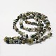 Natural Indian Agate Beads Strands G-F328-12-2