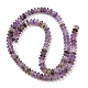 Natural Amethyst Beads Strands G-Z030-A13-01-2