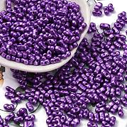 Выпечка краска стеклянные бусины SEED-L011-12A-04