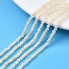 Hebra de perlas de agua dulce cultivadas naturales, plano y redondo, color de concha, 3~4x2.5~3mm, agujero: 0.6 mm, aproximamente 148~152 pcs / cadena, 14.09 pulgada ~ 14.25 pulgadas (35.8~36.2 cm)