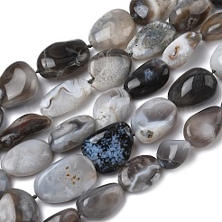 Природные Ботсвана агат бисер нитей&nbsp;G-L650-D03-04