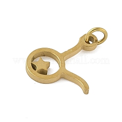 Anhänger aus chirurgischem Edelstahl 316l&nbsp;STAS-U058-01G-02