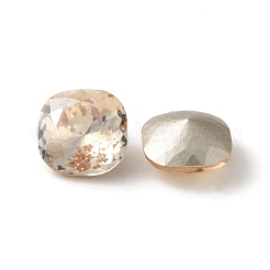 K9 стеклянные каноши&nbsp;GLAA-I052-01D