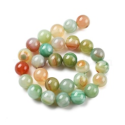 Naturali multicolore agata fili di perline&nbsp;G-A261-B17-14mm