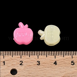 Пластиковые европейские бусины с фруктовой тематикой&nbsp;KY-F023-03B