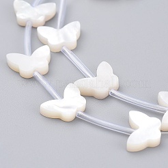Perlas de concha de nácar de concha blanca natural&nbsp;LS-SSHEL-L018-013