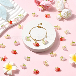 50 шт. двухцветные акриловые подвески&nbsp;FIND-SC0019-74