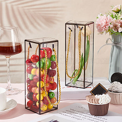 Прозрачная подарочная коробка из пластика для животных&nbsp;OBOX-WH0016-04B