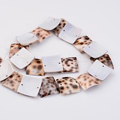 Природные оболочки нитей бисера BSHE-P021-22-20mm