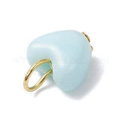 Подвески из непрозрачного полистирольного пластика&nbsp;PALLOY-JF04353-02