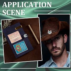 12 комплект заклепок-монет из цинкового сплава и смолы&nbsp;FIND-CP0003-39A