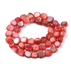 Fili di perle di conchiglia trochid naturale / trochus&nbsp;SHEL-S258-083-B06