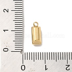 Ciondolo in acciaio inossidabile 304&nbsp;X-STAS-L022-242G