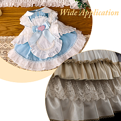 Ruban de dentelle plissée en nylon&nbsp;OCOR-WH0078-310B