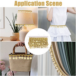 Polyester-Metallicfaden & Pailletten-Spitzenquastenband&nbsp;OCOR-WH0105-237A