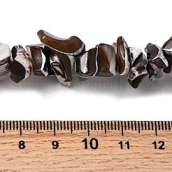 Нити бусин из натуральных трохоидных/трохус ракушек&nbsp;SHEL-B003-02M