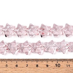 Выпечка краска бисер пряди&nbsp;DGLA-N017-01D