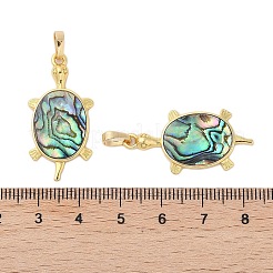 Подвески из натуральной ракушки пауа&nbsp;KK-E059-16G