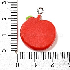 Подвески из непрозрачной смолы&nbsp;RESI-K045-01C