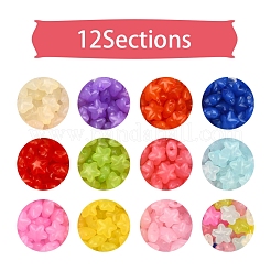 360 pz 12 colori perline acriliche trasparenti&nbsp;MACR-YW0001-88