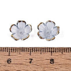 Chapeaux de perles en plastique&nbsp;KY-Q005-04A-13