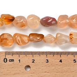 Натуральные нити сердолика (крашенные и нагретые)&nbsp;G-P497-01C-69