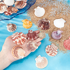 32шт. подвеска из натуральной ракушки в 4 стилях&nbsp;PALLOY-PH01861