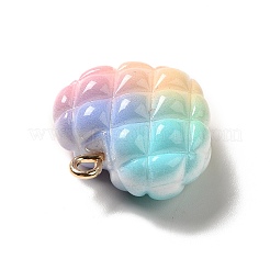 Подвески из непрозрачных смоляных бусин радужных цветов в виде вафель&nbsp;LS-RESI-F035-01