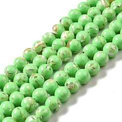 Fili di perle sintetiche turchesi e conchiglie montate&nbsp;G-D482-01C-02