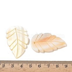 Резные подвески из натуральных пресноводных ракушек&nbsp;SHEL-K006-54D