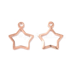 Breloques en acier inoxydable 304&nbsp;STAS-P227-21RG