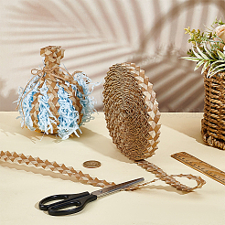 25 m handgewebtes Kunsthandwerks-Farnband&nbsp;DIY-NB0015-69