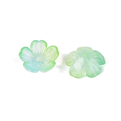 Tappi per perline in plastica trasparente&nbsp;KY-Q005-02A-03