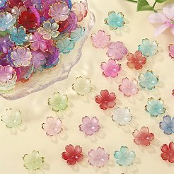 210 capuchon de perles en acrylique de 6 couleurs.&nbsp;OACR-SZ0001-47