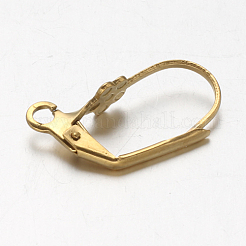 Placcatura ionica (ip) 304 acciaio inossidabile a leva orecchini&nbsp;X-STAS-F094-16