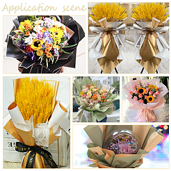 30 лист 5 цветов opp подарочная упаковка упаковочная бумага&nbsp;DIY-WR0004-20B