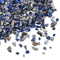Природных лазурит чип бисер&nbsp;G-O103-21
